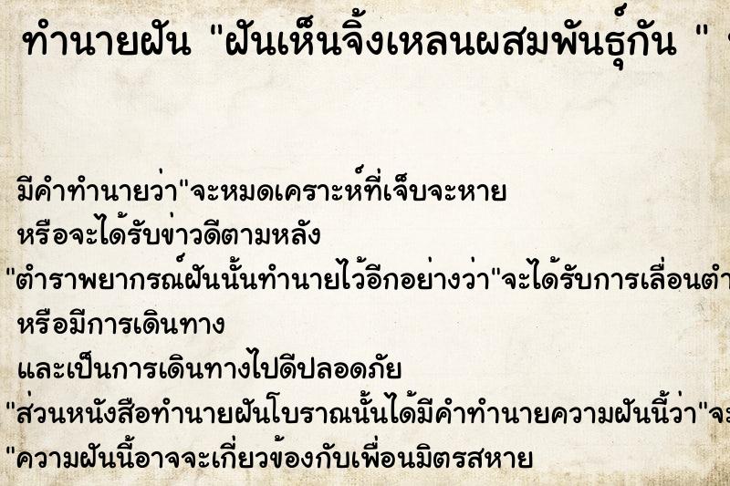 ทำนายฝันทำนายฝันฝันเห็นจิ้งเหลนผสมพันธุ์กัน